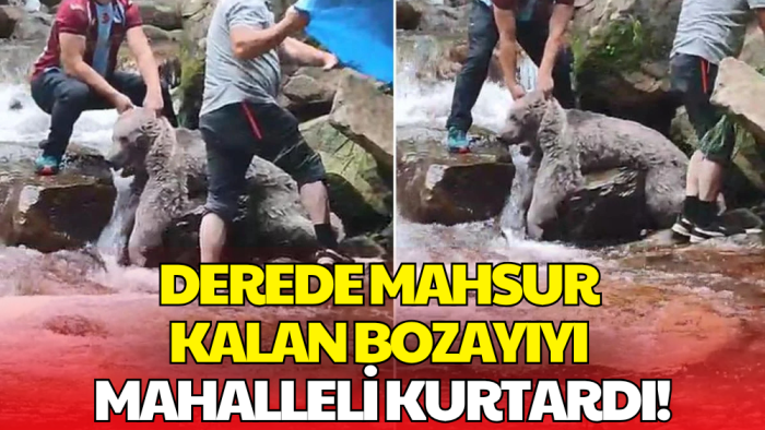 Derede Mahsur Kalan Bozayı için Seferber Oldular! Kayalıkların Arasından Kurtardılar